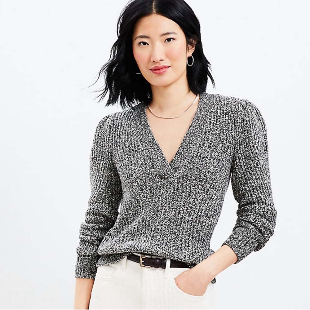 LOFT marled v-neck sweater Lg